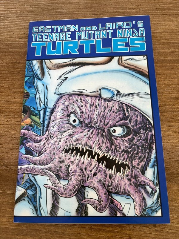 Teenage Mutant Ninja Turtles #7 (Mirage Studios), raw comic book in NM condition — front cover