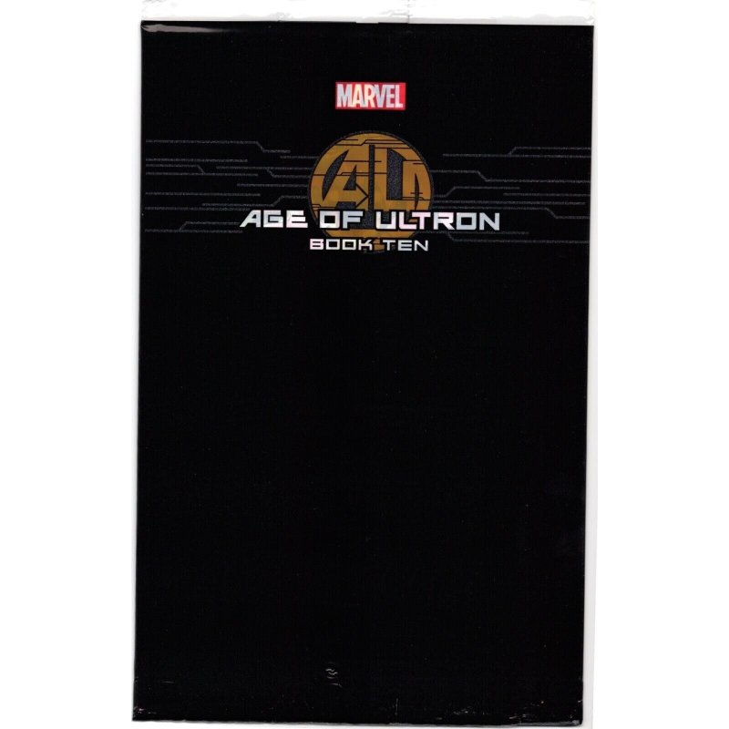 Age of Ultron #10 (Marvel Comics, 2013), raw comic book in NM 9.4 condition — front cover