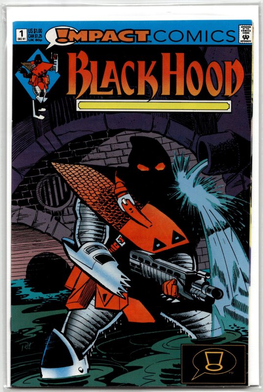 The Black Hood #1 (Impact Comics, 1991), raw, ungraded comic book — front cover