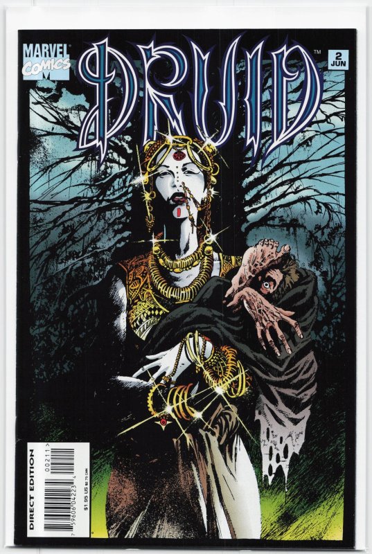 Druid #2 (1995), raw, ungraded comic book — front cover