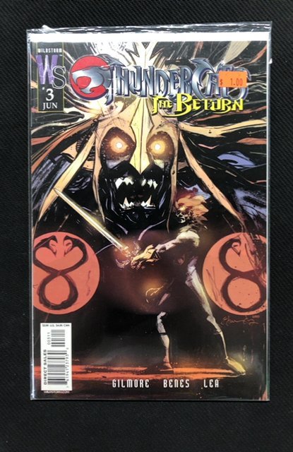 Thundercats: The Return #3 (2003), raw, ungraded comic book — front cover