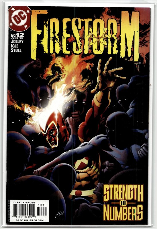 Firestorm #12 (DC Comics, 2005), raw, ungraded comic book — front cover