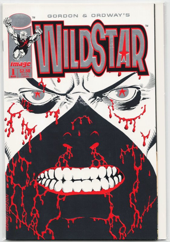 Wildstar: Sky Zero #1 (Image Comics, 1993), raw, ungraded comic book — front cover