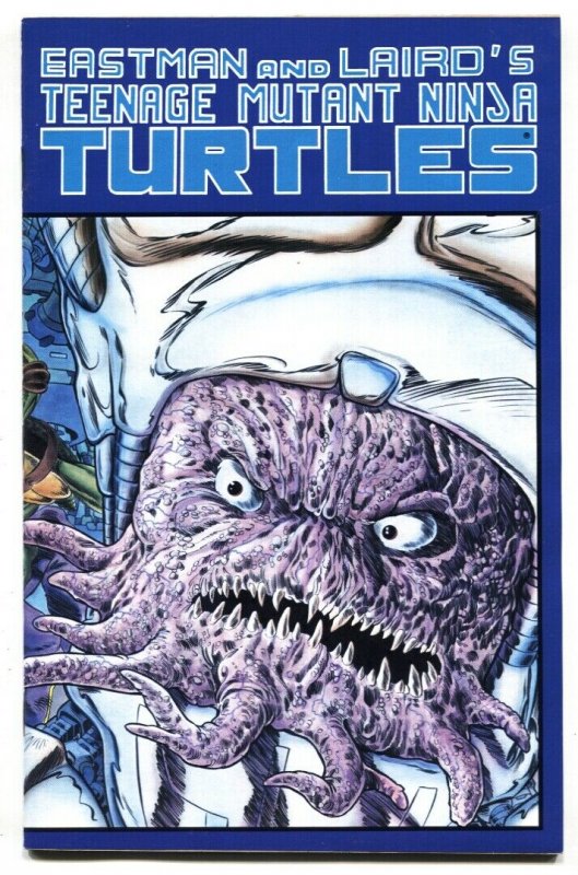 Teenage Mutant Ninja Turtles #7, raw, ungraded comic book — front cover