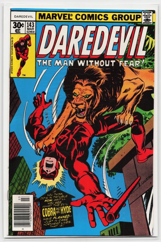 Daredevil #143 (Marvel Comics, 1977), raw, ungraded comic book — front cover
