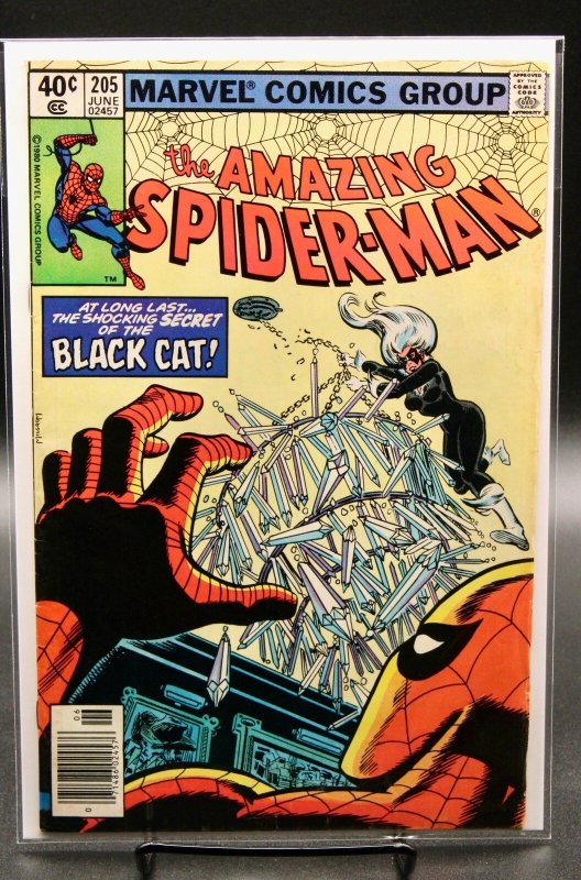 The Amazing Spider-Man #205 (Marvel Comics, 1980), raw, ungraded comic book — front cover
