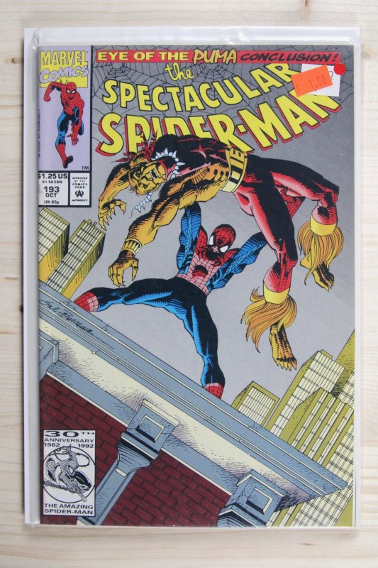 The Spectacular Spider-Man #193 (Marvel Comics, 1992), raw comic book in NM- 9.2 condition — front cover