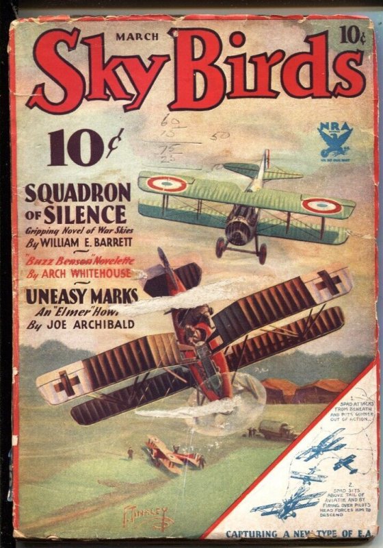 Pulp: Sky Birds - March 1934 - Buzz Benson Hero Pulp - Frank Tinsley Biplane... (1934), raw, ungraded comic book — front cover