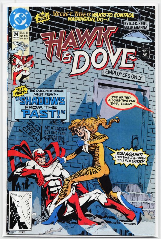 Hawk and Dove #24 (DC Comics, 1991), raw, ungraded comic book — front cover
