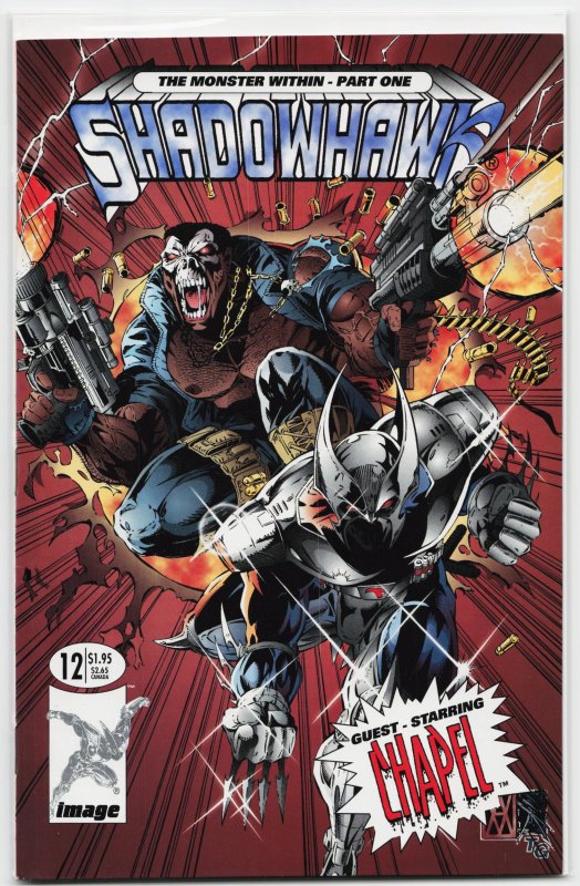 Shadowhawk #12 (Image Comics, 1994), raw, ungraded comic book — front cover