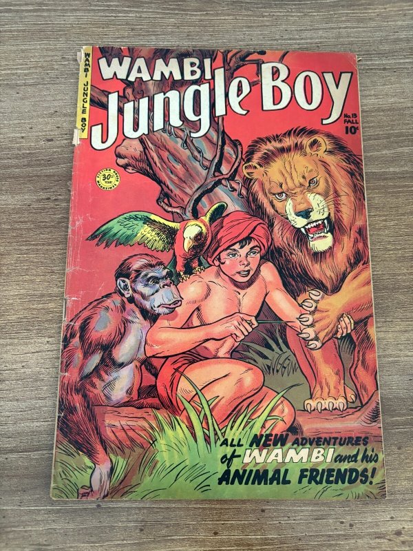 Wambi Jungle Boy #13 (Fiction House), raw comic book in VG- condition — front cover