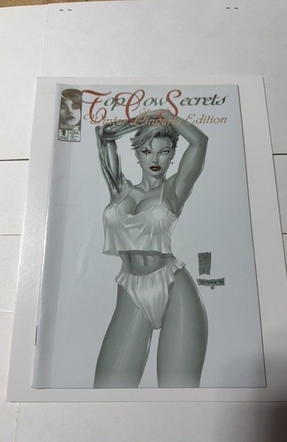 Top Cow Secrets: Special Winter Lingerie Edition 1996 Vf-Nm 7 SU1 (Top Cow, 1996), raw comic book in NM condition — front cover