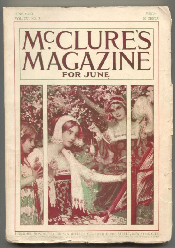 McClures Pulp June 1900-Teddy Roosevelt- FN-, raw comic book in FN- condition — front cover
