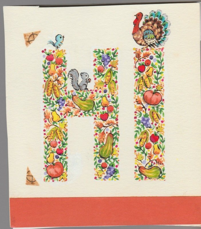 HI Squirrel Turkey & Blue Bird 5x6" #7913, raw, ungraded comic book — front cover