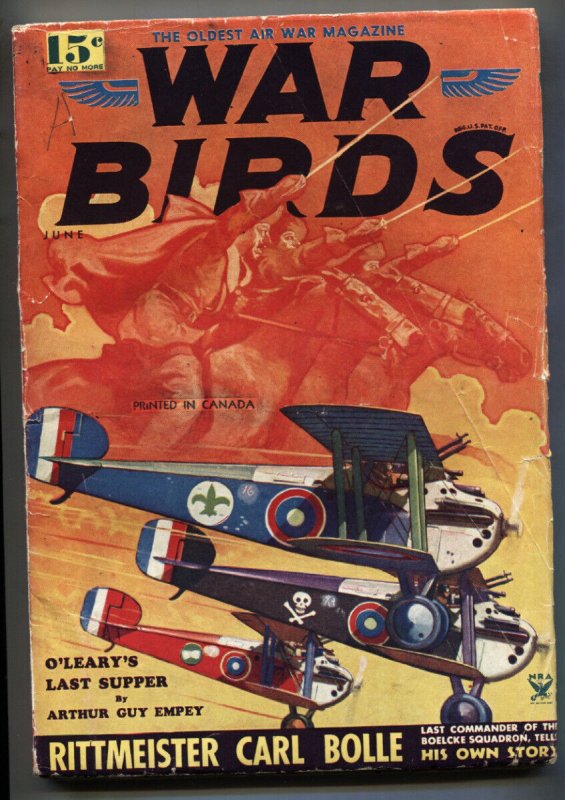 War Birds Pulp June 1934- Belarski Cover- Canadian Variant- FN (Popular Publications, 1934), raw comic book in FN condition — front cover