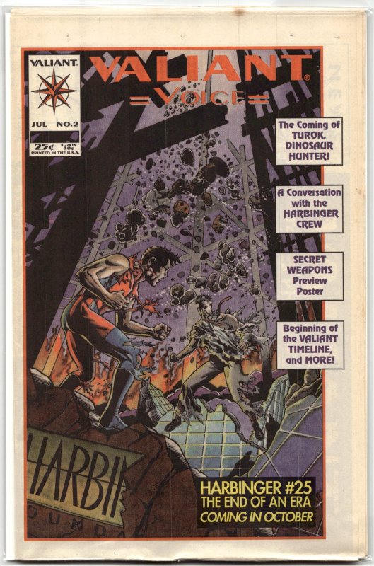 Valiant Voice #2 (1993), raw, ungraded comic book — front cover