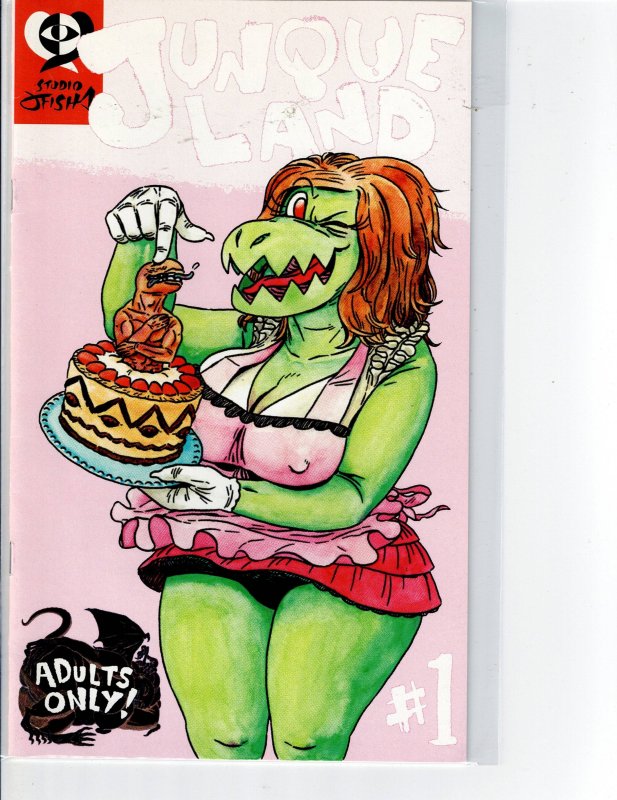 Junque Land #1, raw, ungraded comic book — front cover