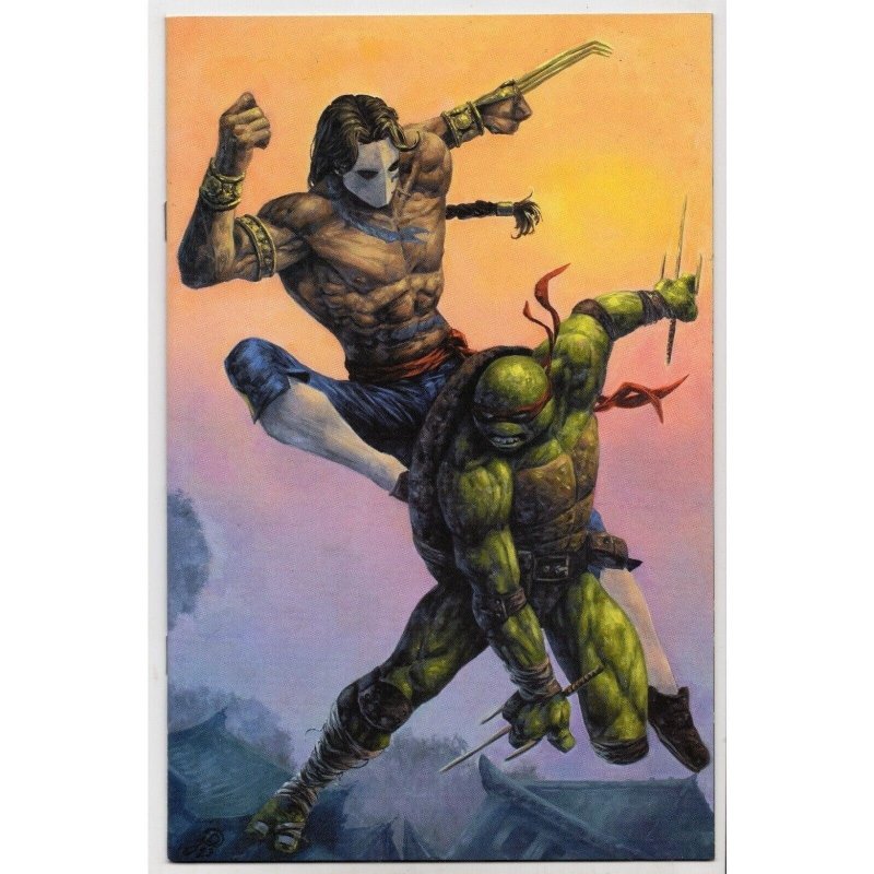 TMNT vs Street Fighter #1 (IDW Publishing, 1994), raw comic book in NM+ 9.6 condition — front cover