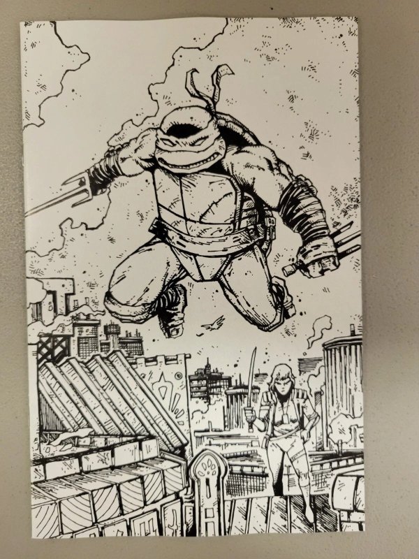 Teenage Mutant Ninja Turtles #22 (IDW Publishing, 2026), raw, ungraded comic book — front cover