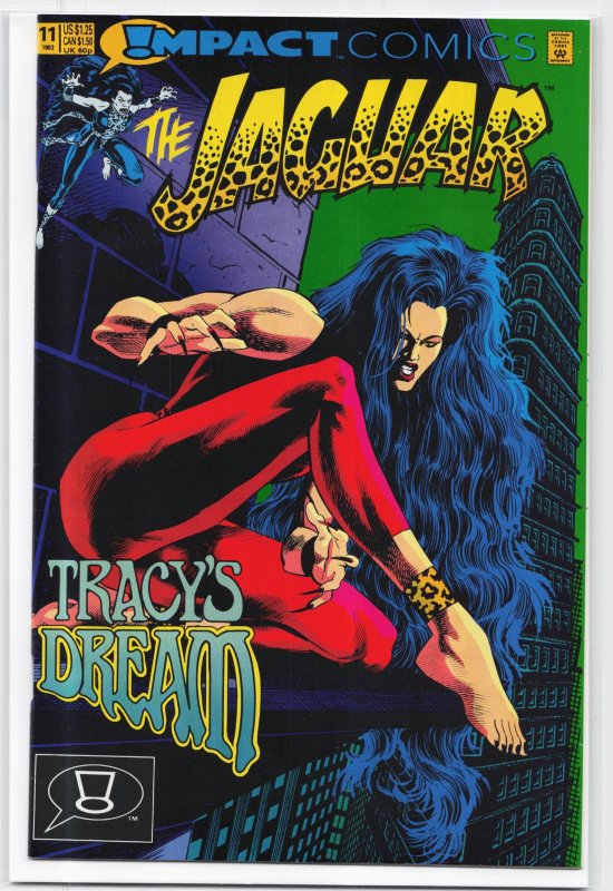 The Jaguar #11 (1992), raw, ungraded comic book — front cover