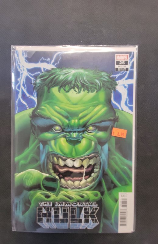 The Immortal Hulk #25 (Marvel Comics, 2019), raw, ungraded comic book — front cover