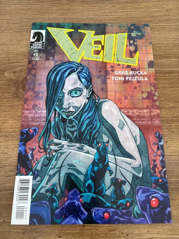 Veil #1 (Dark Horse Comics, 2014), raw comic book in NM condition — front cover