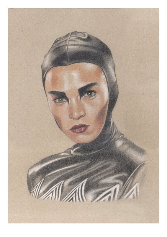 Bazine Netal, High Quality A4 Lithograph. Signed: Miguel Alfaro, raw, ungraded comic book — front cover