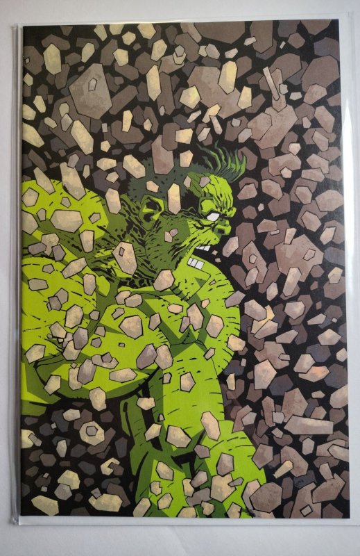 Incredible Hulk #3 (Marvel Comics, 2023), raw comic book in NM+ condition — front cover