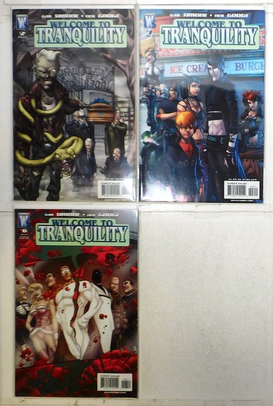 Welcome to Tranquility Lot of 3 #2, 3, 6 (2007) DC Comics 1st Print Comic Books (DC Comics, 2007), raw, ungraded comic book — front cover