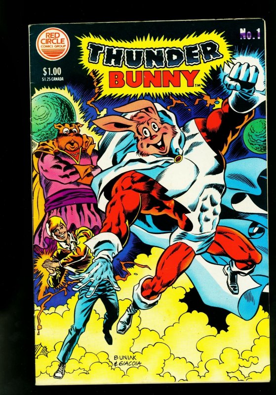 Thunder Bunny #1 (Archie Comics, 1984), raw comic book in VG condition — front cover