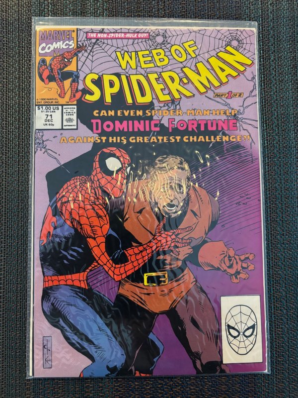 Web of Spider-Man #71 (Marvel Comics, 1990), raw, ungraded comic book — front cover