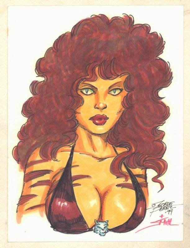 Tigra Colored Bust Commission - Signed art by George Perez, raw, ungraded comic book — front cover