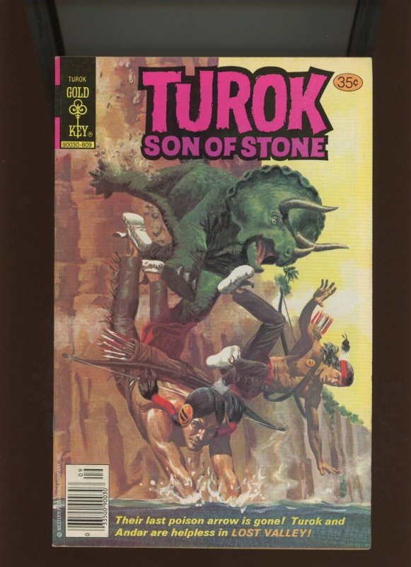 Turok, Son of Stone #117 (1978), raw comic book in 6.5 condition — front cover