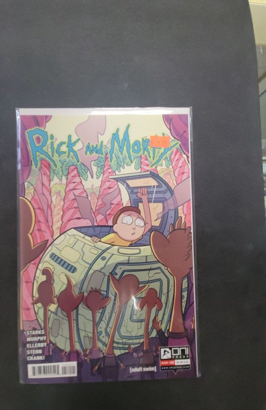 Rick and Morty #52 (2019), raw, ungraded comic book — front cover