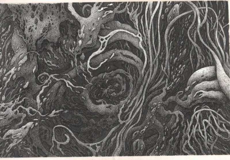 Ocean Coral Published in Forlaget Fahrenheit - a - 2009 art by Henrik Rehr (2009), raw, ungraded comic book — front cover