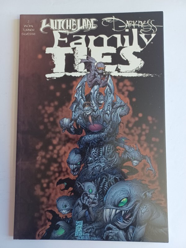 Witchblade/The Darkness Family Ties Collected Edition - Top Cow - NM (Top Cow), raw comic book in NM condition — front cover