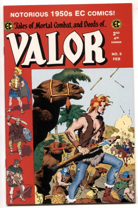Valor #5 (1999), raw comic book in VF/NM condition — front cover