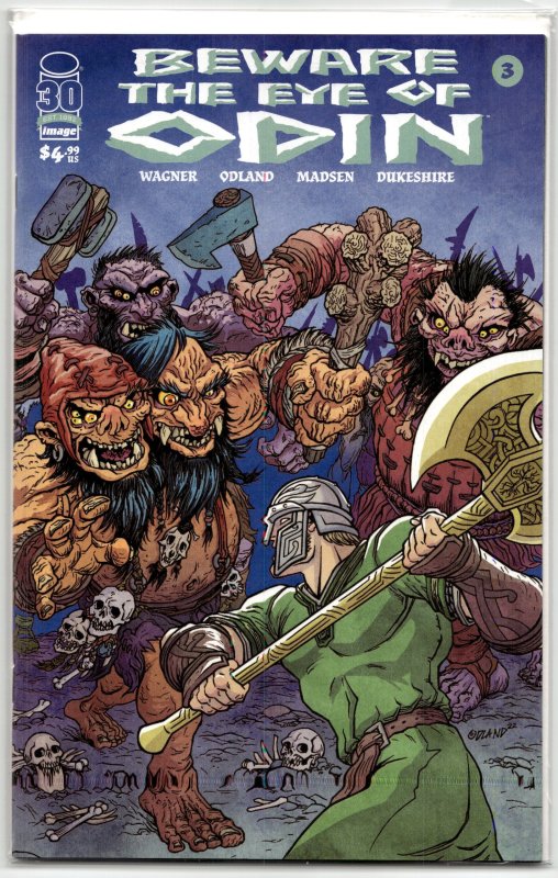 Beware the Eye of Odin #3 (2022), raw, ungraded comic book — front cover