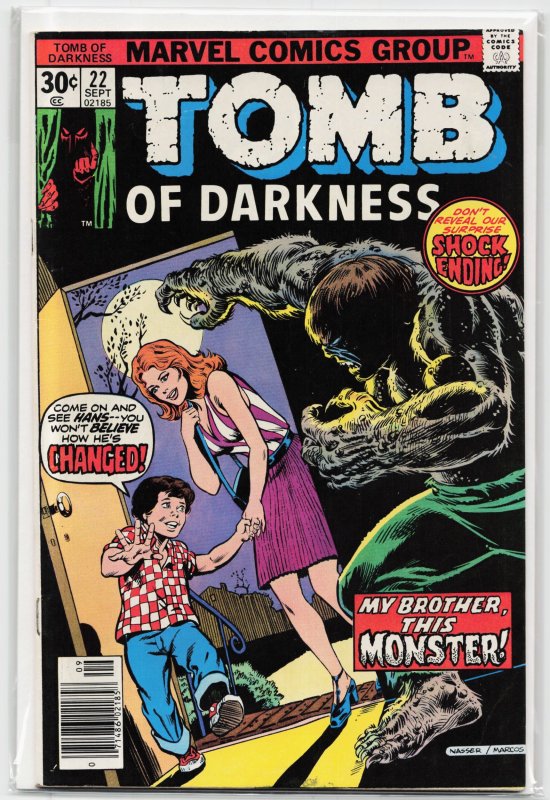 Tomb of Darkness #22 (Marvel Comics, 1976), raw, ungraded comic book — front cover