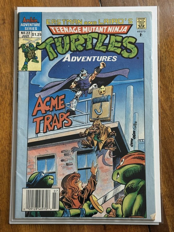 Teenage Mutant Ninja Turtles Adventures #22 (Archie Comics), raw, ungraded comic book — front cover