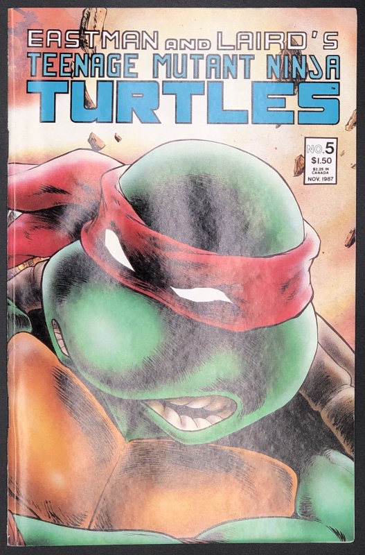 Teenage Mutant Ninja Turtles #5 (Mirage Studios, 1987), raw comic book in VF condition — front cover