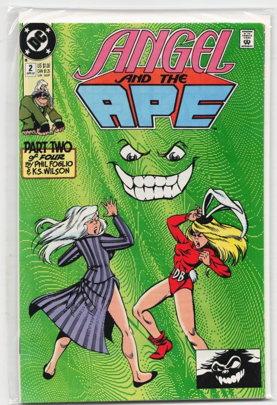 Angel and the Ape #2 (DC Comics, 1991), raw, ungraded comic book — front cover