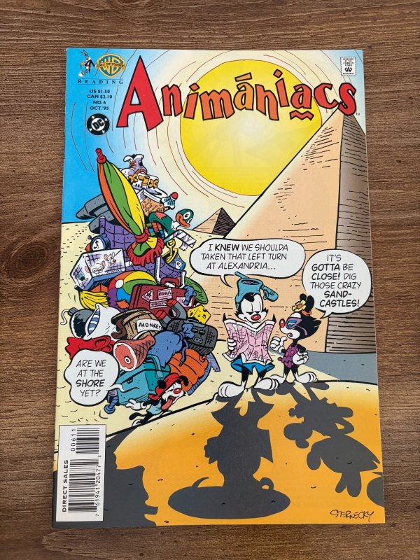 Animaniacs #6 (DC Comics), raw comic book in NM condition — front cover