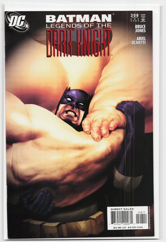 Batman: Legends of the Dark Knight #208 (DC Comics, 2006), raw, ungraded comic book — front cover