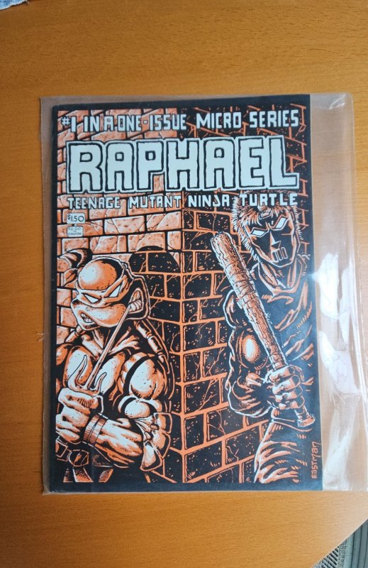 Teenage Mutant Ninja Turtles Microseries #1 (IDW Publishing, 2011), raw, ungraded comic book — front cover