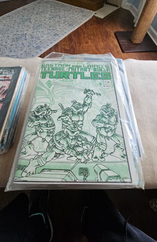 Teenage Mutant Ninja Turtles #4, raw, ungraded comic book — front cover