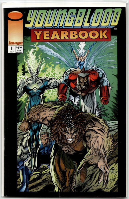 Youngblood Yearbook (1993) Youngblood (Image Comics, 1993), raw, ungraded comic book — front cover