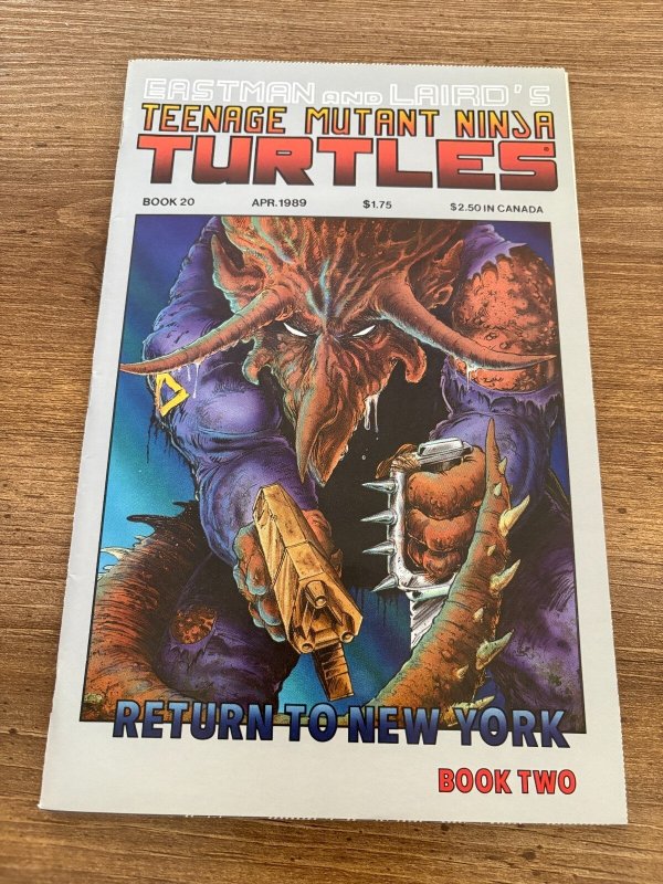 Teenage Mutant Ninja Turtles #20 (Mirage Studios), raw comic book in VF condition — front cover