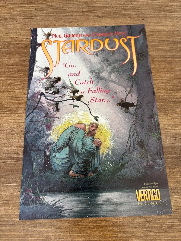 Stardust DC Vertigo Comic Book Neil Gaiman Series Issue Charles Vess #20, raw, ungraded comic book — front cover