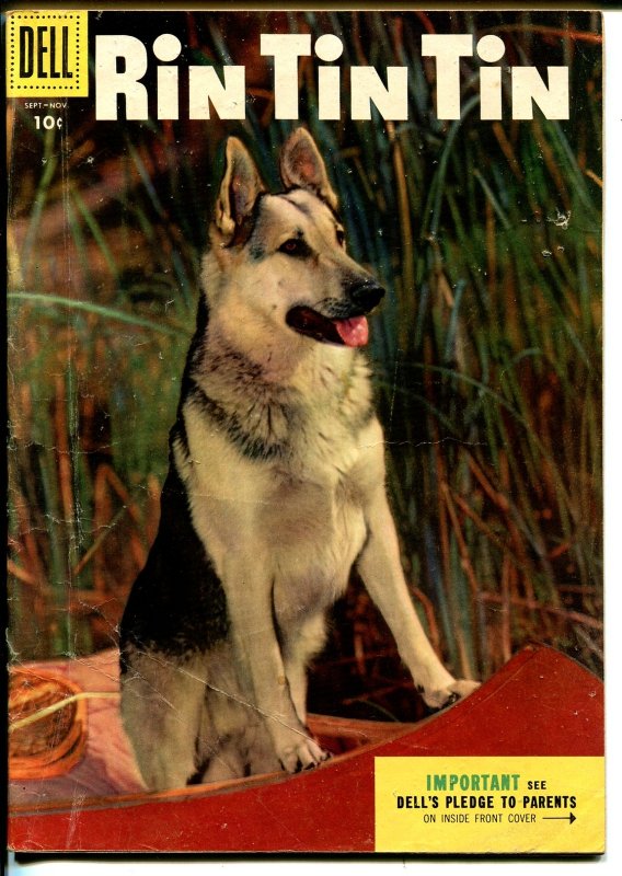 Rin Tin Tin #10 (Dell Comics, 1955), raw, ungraded comic book — front cover